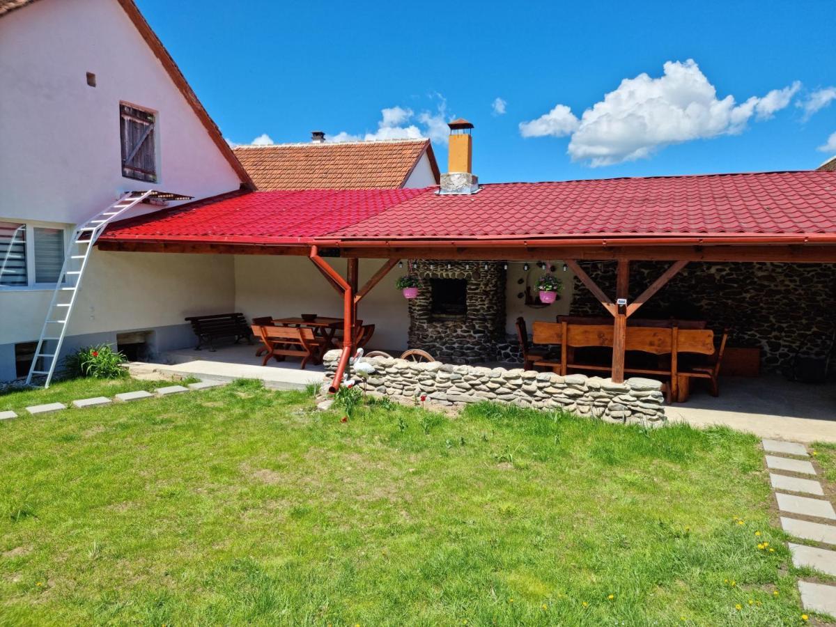 Вілла Casa Pavel Порумбаку-де-Жос Екстер'єр фото